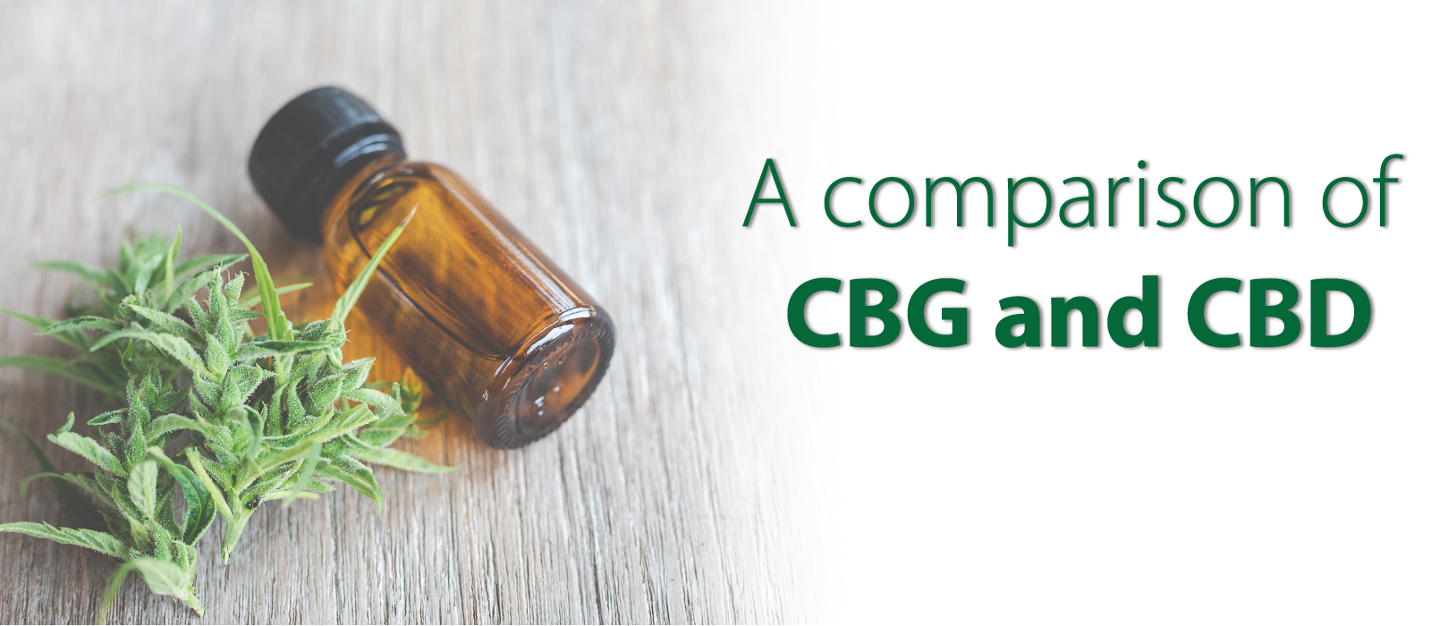 CBG vs CBD