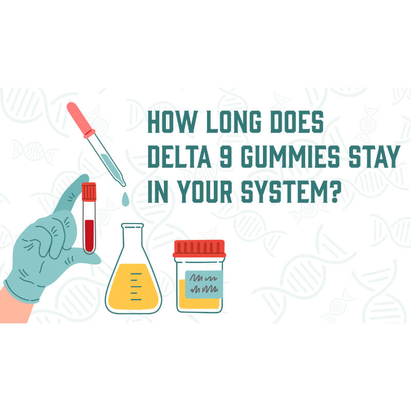 How Long Does Delta 9 Stay In Your System? - Snoozy How to get delta 9 out of your system fast