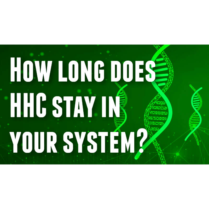 How Long Does Cbd Cream Stay in Your Urine