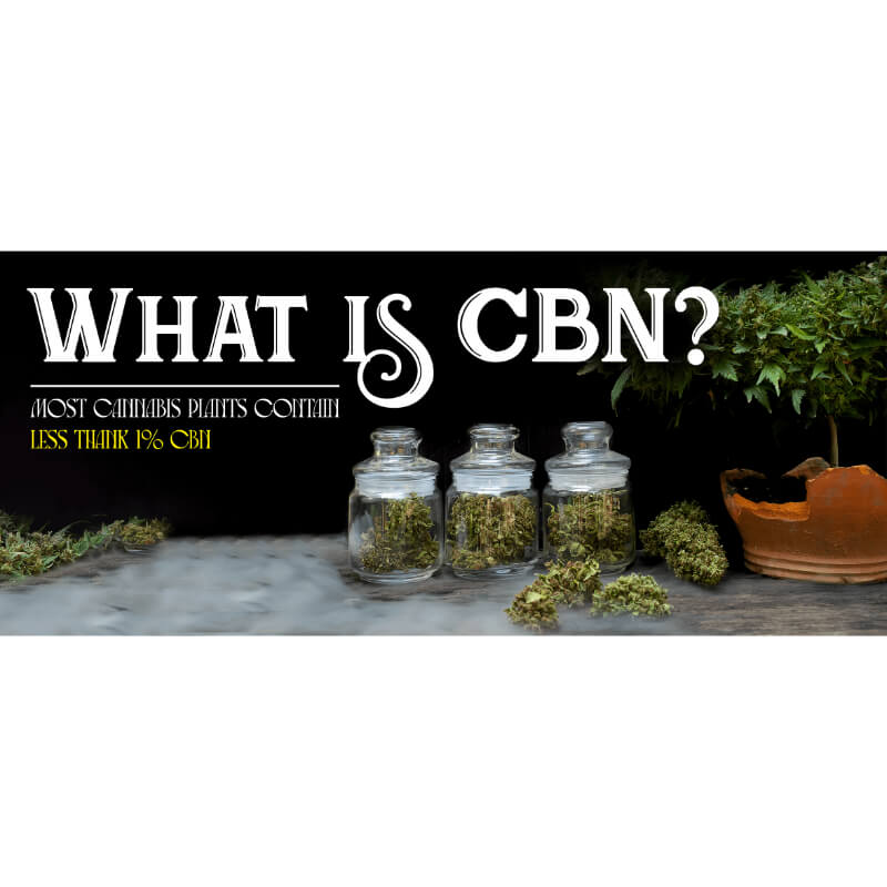 The picture for the article, "What is CBN".