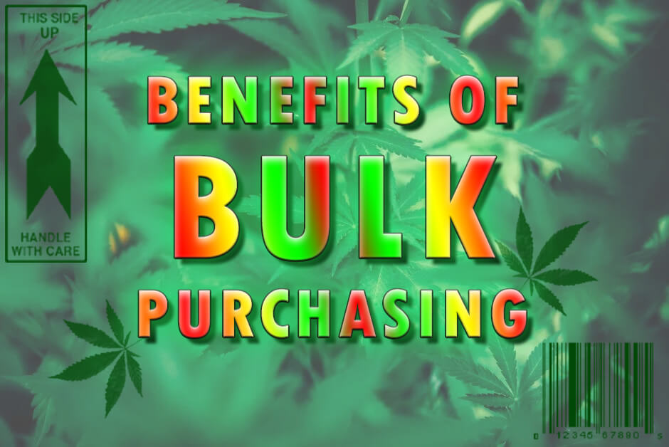 Buying Bulk CBD Gummies