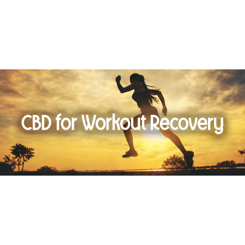 The image for the article,"CBD for workout recovery".