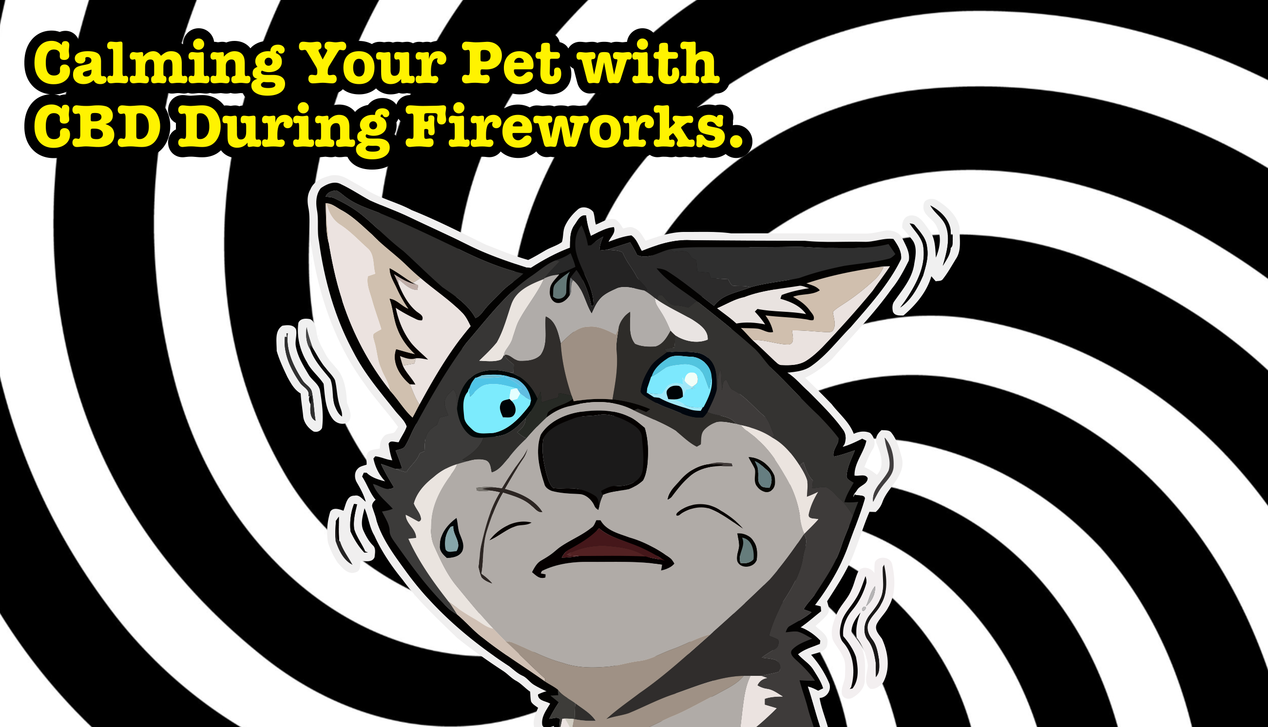 Calming your Pet With CBD During Fireworks