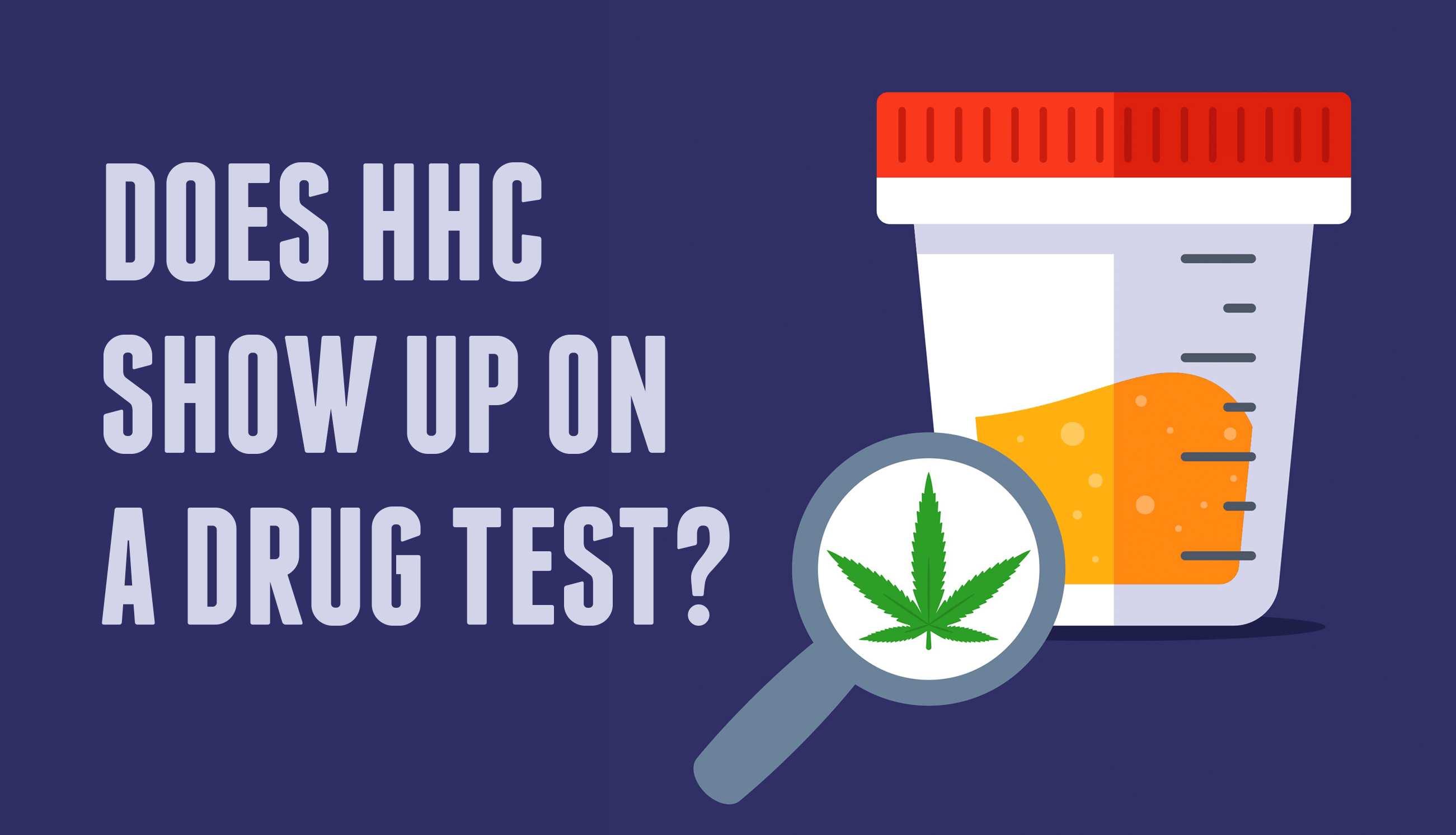 Does HHC show Up On a Drug Test