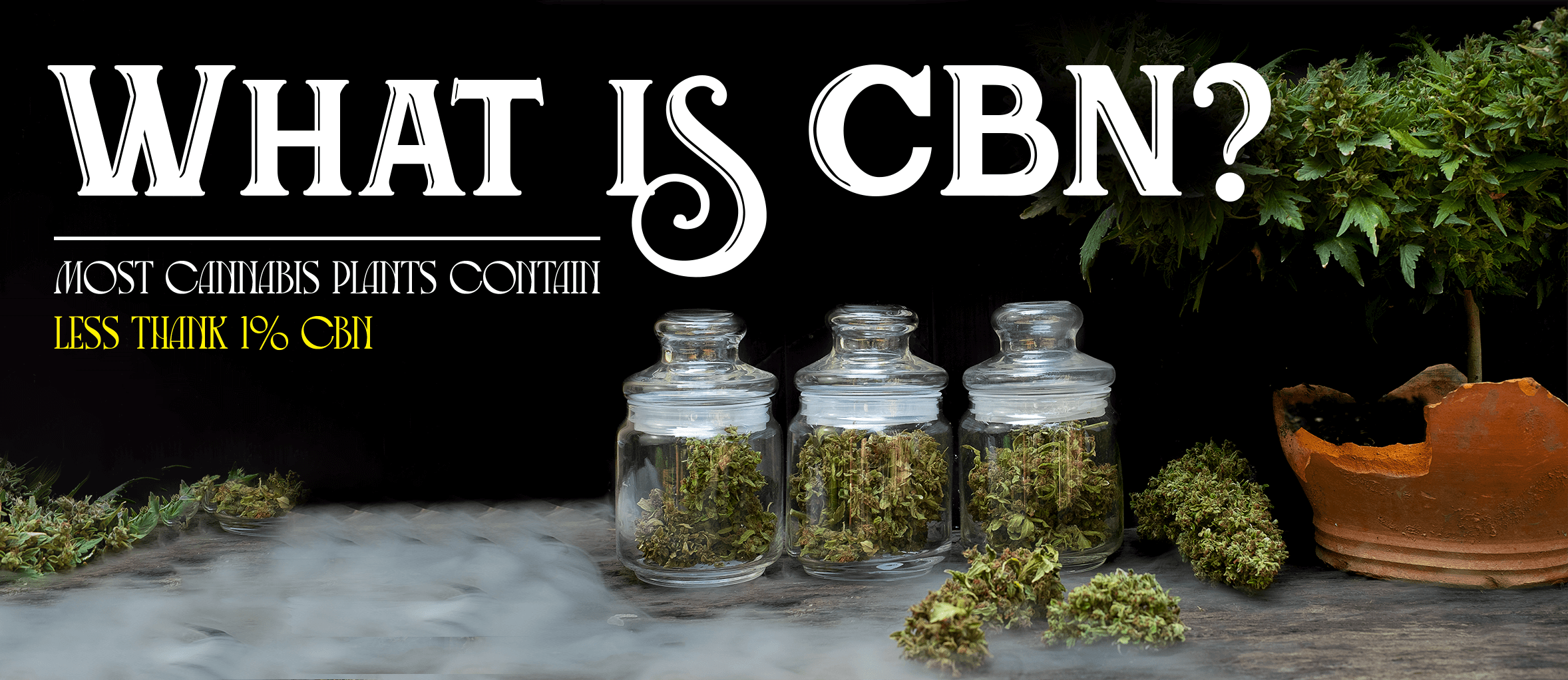 CBN cannabinoid 