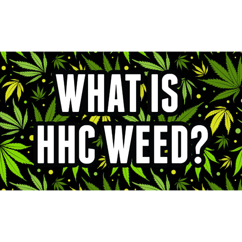 The picture for the article, "What is HHC weed"?