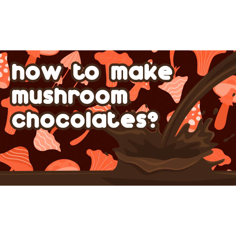 how to make mushroom chocolates