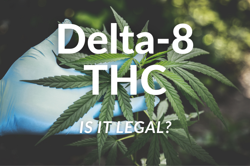 Is delta 8 THC legal?  This article will give you a brief overview of delta 8 laws in the united states. 