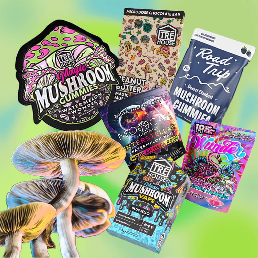 Magic mushroom edibles in vibrant, premium packaging