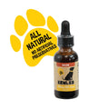 CBD Oil For Dogs