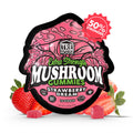 Trehouse Strawberry Dream flavored magic mushroom gummies, containing 10 gummies per pack.